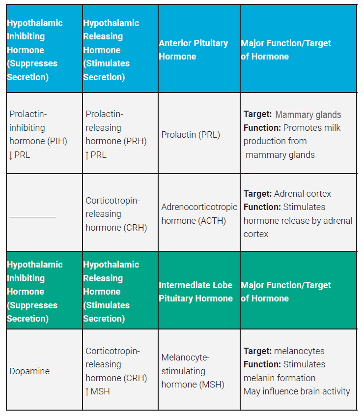 Table showing hypothalamic releasing hormones and inhibiting hormones.
