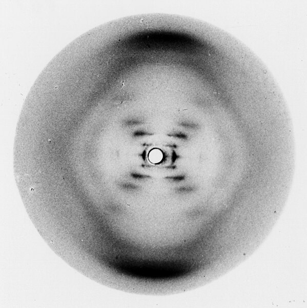 Graphic of "Photo 51" which shows x-ray diffraction of DNA.