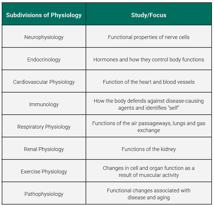Graphic table showing the subdivisions of physiology: neurophysiology, endocrinology, cardiovascular physiology, immunology, respiratory physiology, renal physiology, exercise physiology, and pathophysiology.