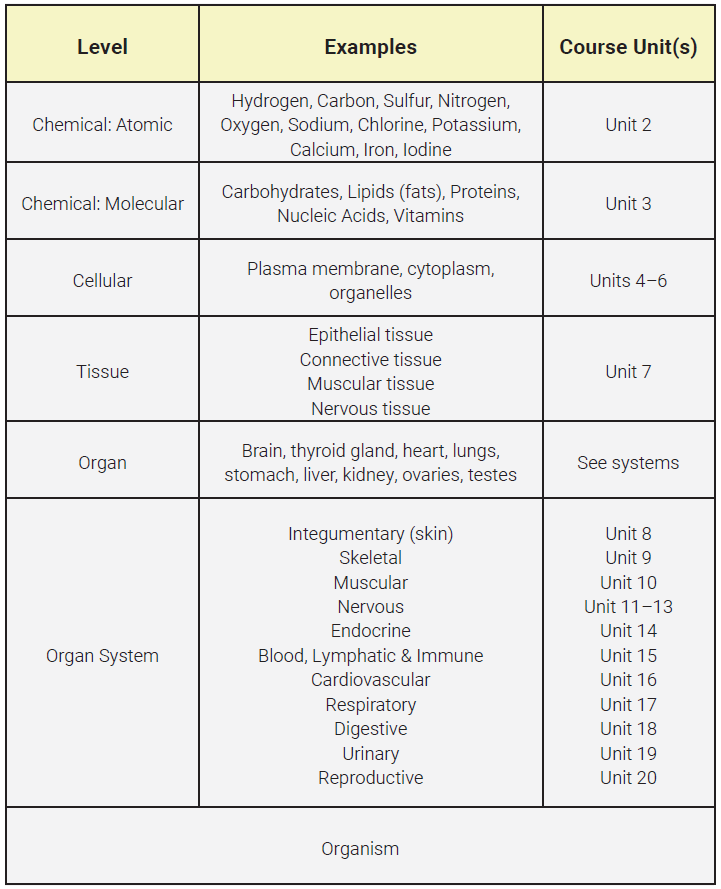 Table showing the levels of organization which are covered throughout the courses with correlating unit numbers