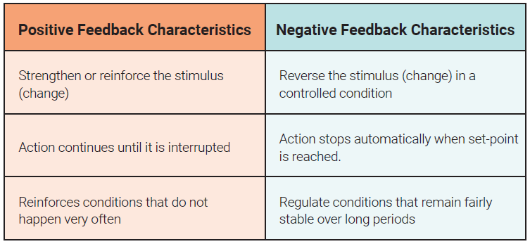 Chart showing the characteristics of positive and negative feedback loops