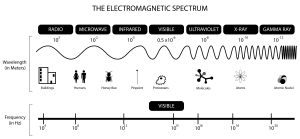 Graph of the electromagnetic spectrum showing the relationship between wavelength, frequency, and type of photon.