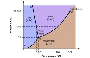 Depiction of how pressure and temperature affect the state of matter of water.