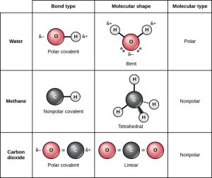 A depiction of covalent bond formation. A polar covalent bond is shown with a water molecule. Nonpolar covalent bonds are formed in methane and carbon dioxide.