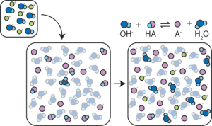 Depiction of a buffer working in solution. The weak acid donates hydrogen ions to the weak base in the solution.