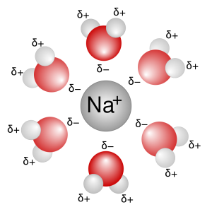 Image depicting a solvation shell of a sodium ion.