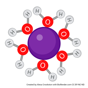 Image of a hydration shell forming around a cation.