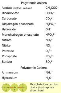 A table of common functional groups.