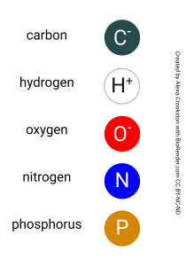 Color key diagram for common atoms of organic molecules.