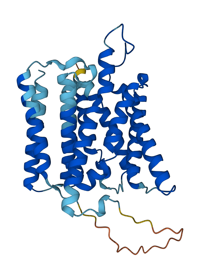 Illustration of a transmembrane protein with alpha-helical regions.