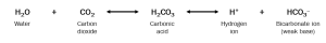 Screenshot displaying the carbonic acid - bicarbonate buffer system chemical reaction.