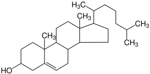2-dimensional line drawing of the cholesterol molecule.