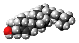 Space filling diagram of the cholesterol molecule.