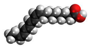 Space filling model of a free fatty acid molecule.