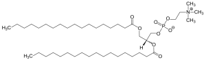 2-dimensional line drawing of a phospholipid molecule.