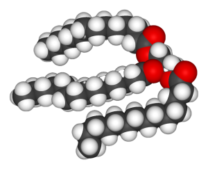 Space filling model of a triglyceride molecule.