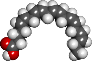 Space filling model of eicosapentaenoic acid.