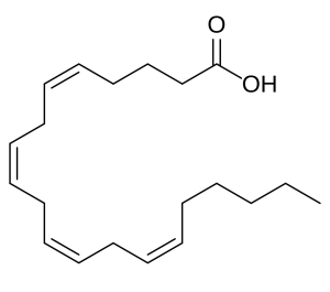 2-dimensional line drawing of the arachidonic acid molecule.