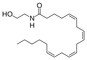 2-dimensional line drawing of the anandamide molecule.