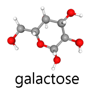 Ball-and-stick drawing of galactose.