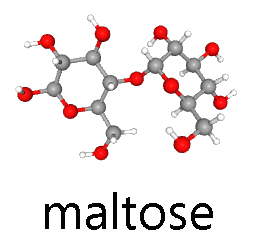 Ball-and-stick drawing of a maltose molecule.
