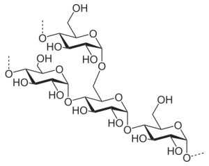 2-dimensional line drawing of amylopectin