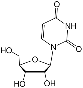 2-dimensional line drawing of the molecule uridine.