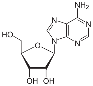 2-dimensional line drawing of an adenosine molecule.