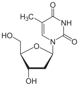 2-dimensional line drawing of a deoxythymidine molecule.