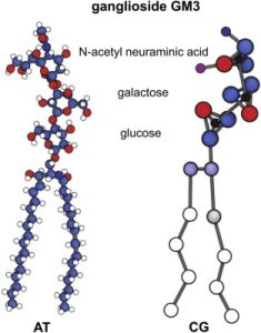 Ball-and-stick model of a glycolipid molecule.