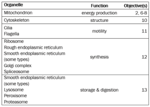 A table of organelles and their functions.