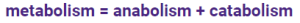 Metabolism is equal to anabolism plus catabolism.