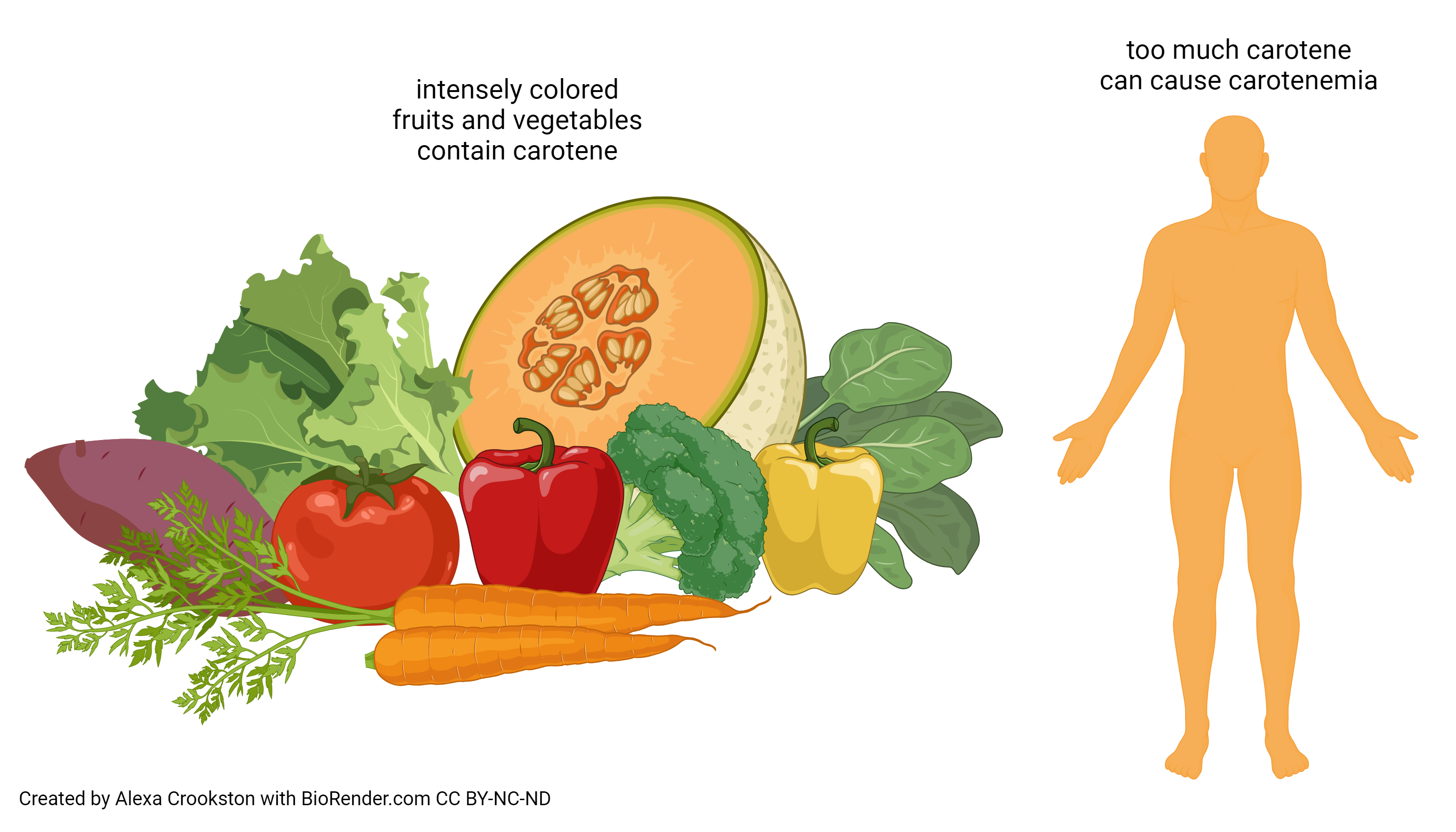 Graphic showing foods containing carotene and a person with carotenemia.