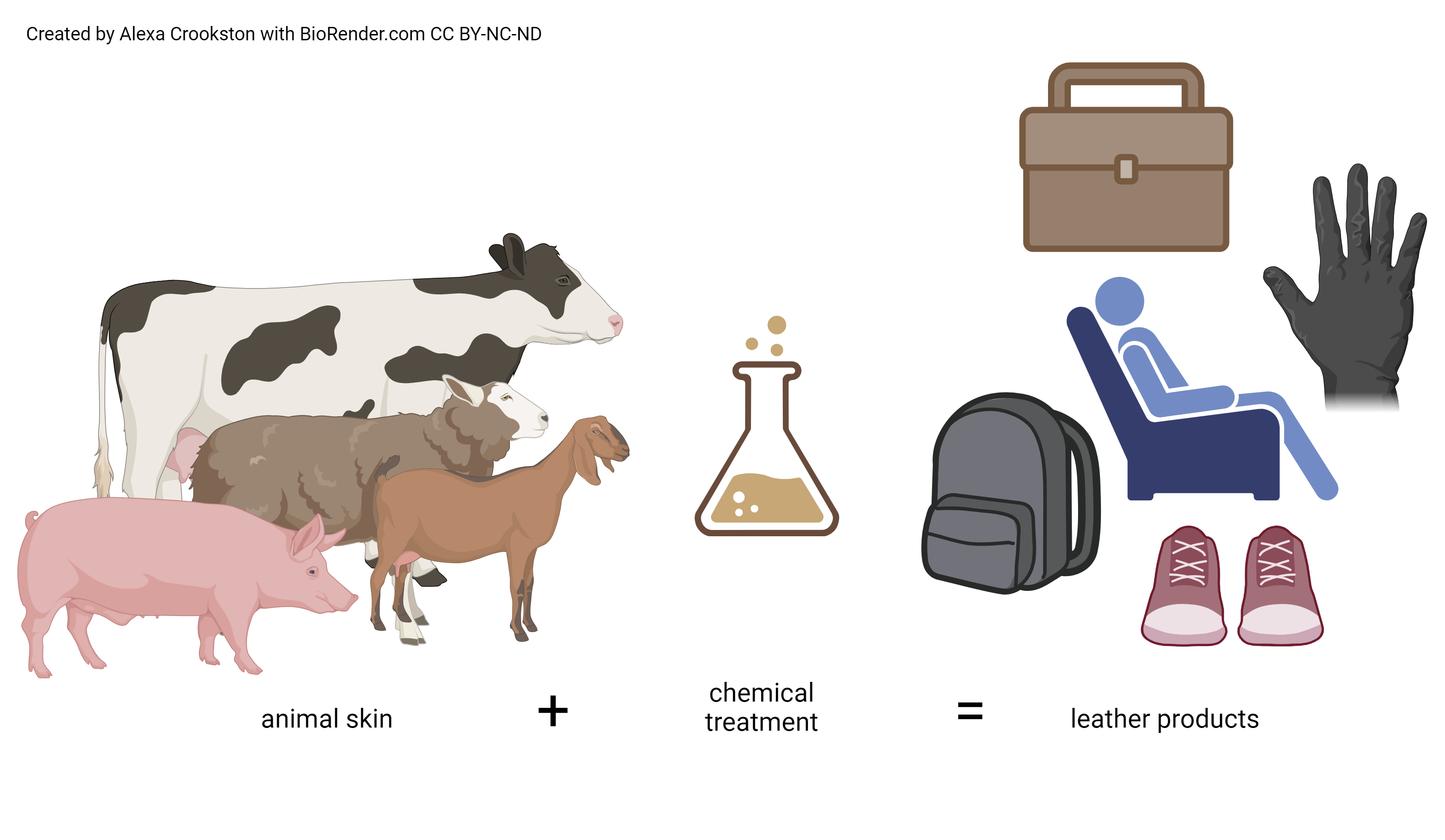 Graphic showing how leather is made.