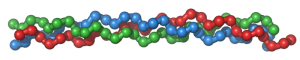 An depictions of the collagen molecule.
