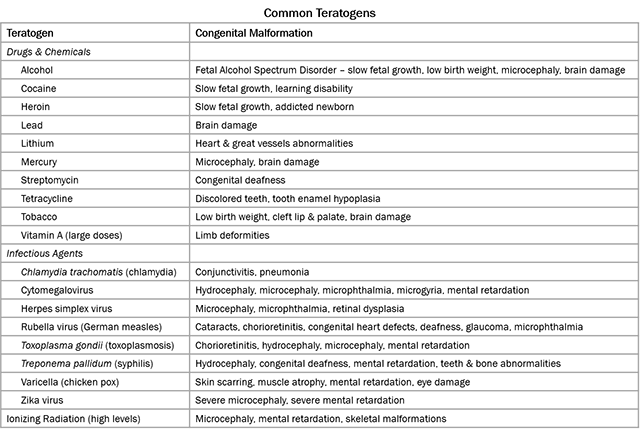 Table of factors that can cause birth defects.