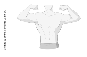 An illustration showing a person demonstrating elbow flexion by flexing their arms.