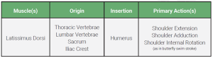 An table relaying the origin, insertion, and action of the latissimus dorsi muscle.