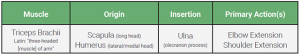 An table relaying the origin, insertion, and action of the triceps brachii muscle.