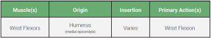 An table relaying the origin, insertion, and action of the wrist flexors muscle group.