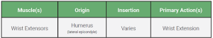 An table relaying the origin, insertion, and action of the wrist extensors muscle group.