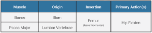 A table showing the origin, insertion, and action of the iliopsoas muscle.