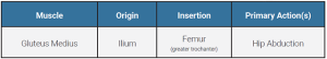 A table showing the origin, insertion, and action of the gluteus medius muscle.