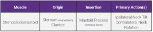A table showing the origin, insertion, and action of the sternocleidomastoid muscle.