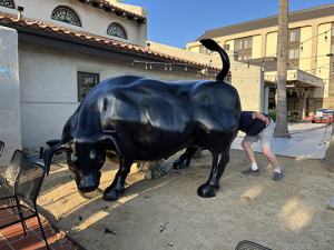 The author with his head shoved quite far up the rear end of a life-sized metal bull.