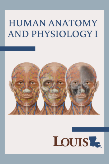 Cover image for Human Anatomy and Physiology I