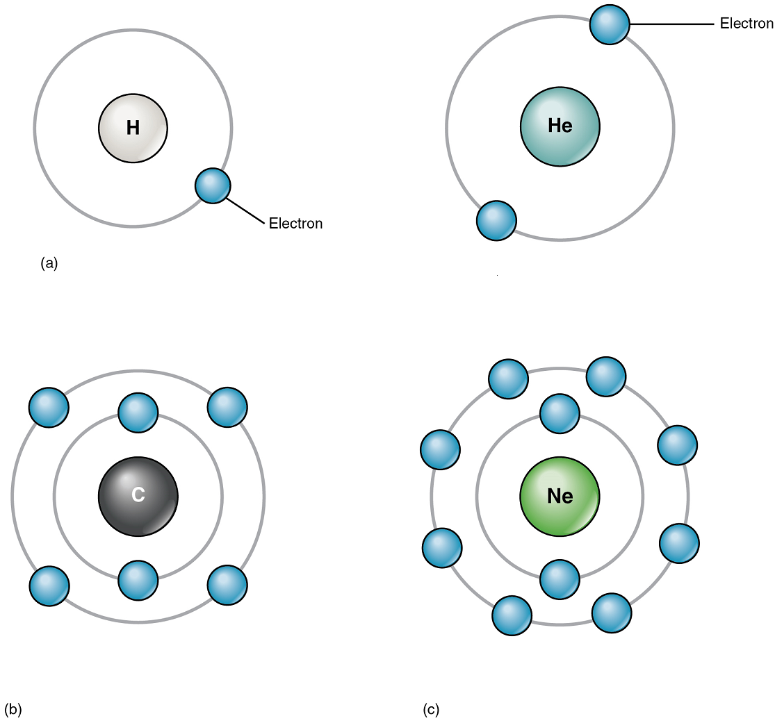 Image A shows that hydrogen has only one electron in its outer ring and only half fills the shell. Image B shows a Carbon atom which fills the first level with two electrons but half fills the second energy level. Image C shows helium that fills the first energy level with electrons. Image D shows neon that the electrons fill both the first and second levels.