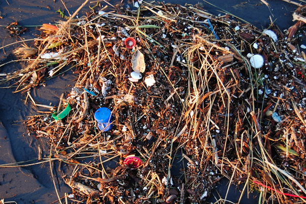 Trash mixed with plant matter in the ocean.