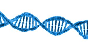 Decorative image of DNA