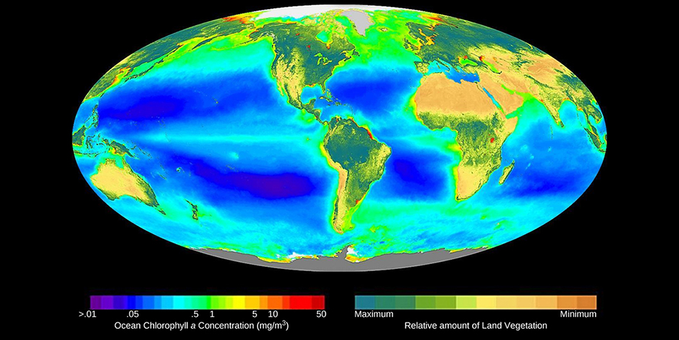 The image shows a map of the world, colored by the levels of chlorophyll a on land and in the ocean.